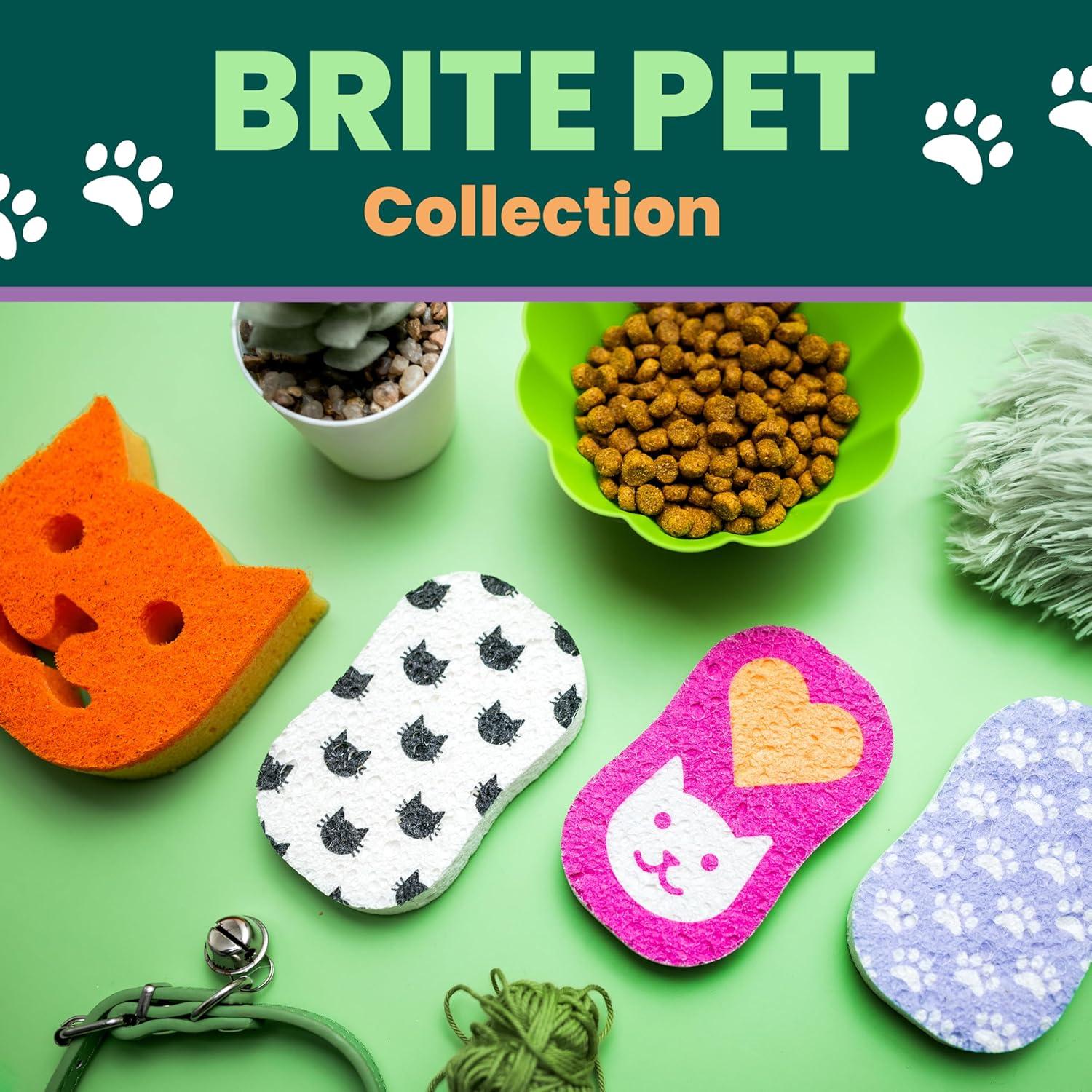 image:imageScotchBrite Cat Pop Up NonScratch Sponges Limited EditionExpands in Water3 Pack