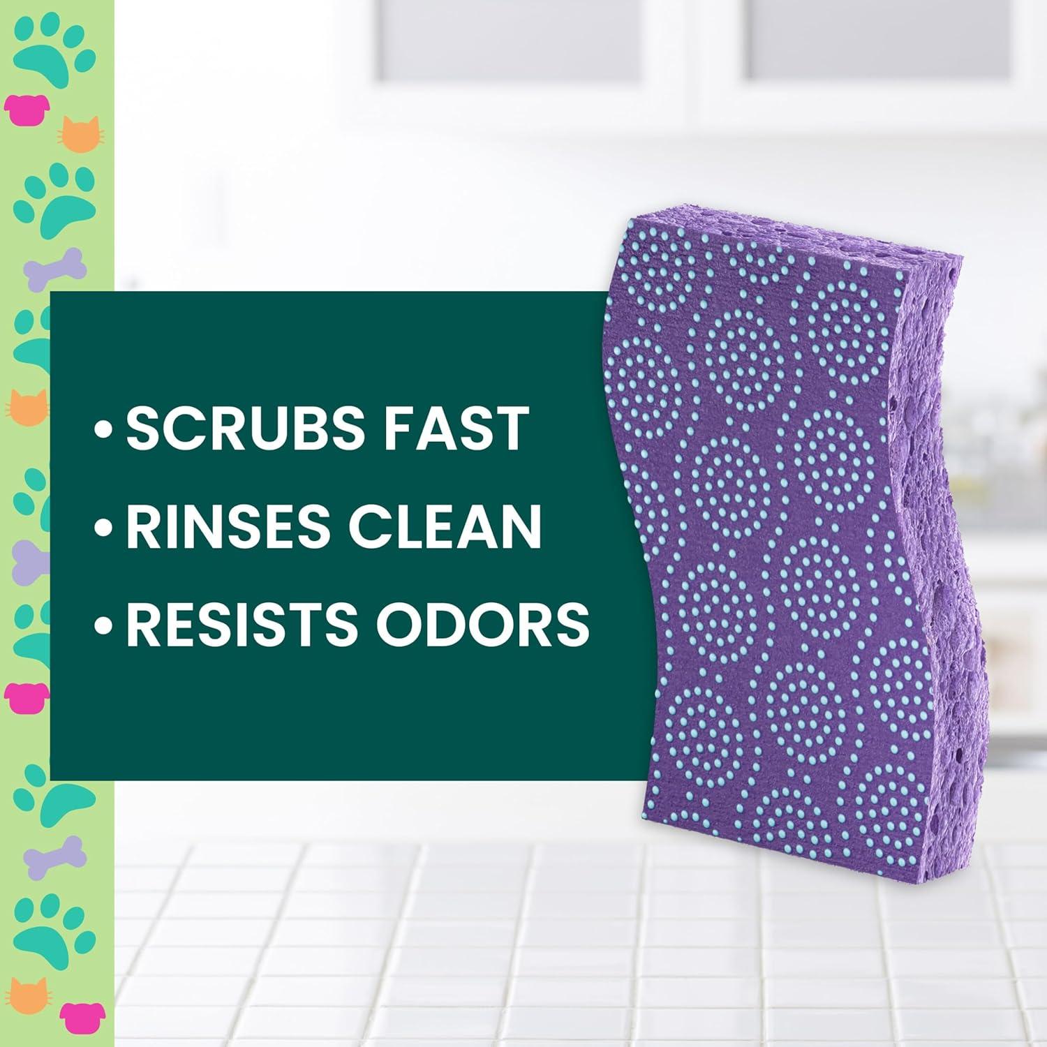 image:imageScotchBrite Dog Lovers Cleaning Kit Includes 6 Limited Edition NonScratch Sponges and 1 Pet Hair Pickup Extra Sticky Lint Roller Multisurface Safe