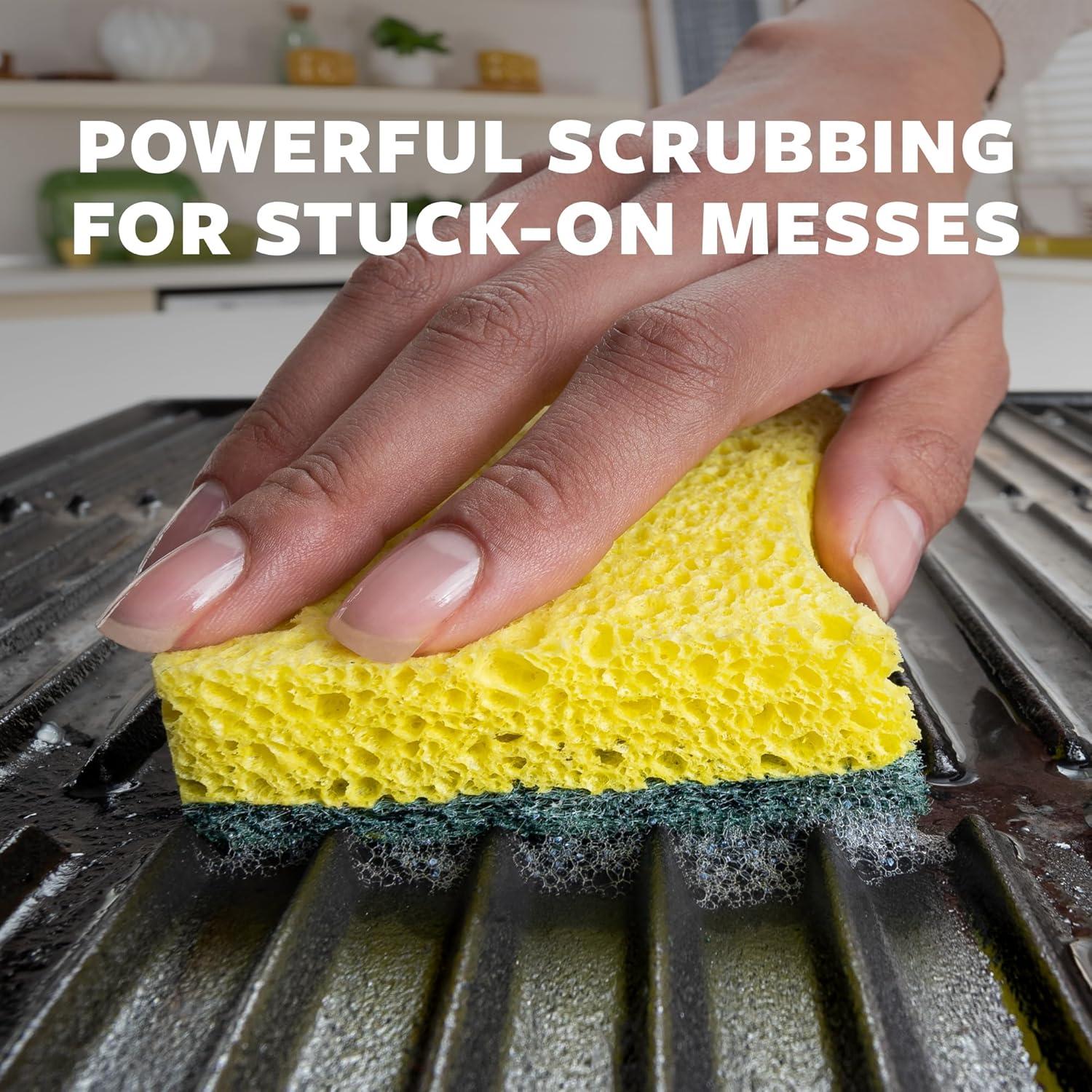 image:imageScotchBrite Kitchen Cleaning Essentials BundleKitchen Cleaning Essentials Bundle