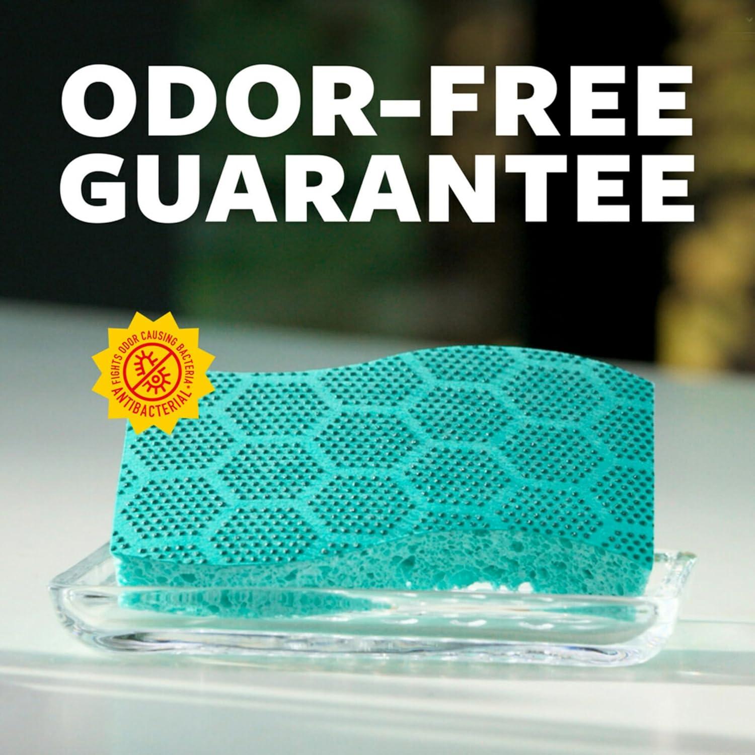 image:imageScotchBrite Scrub Dots Heavy Duty Sponge Powerful Scrubbing Rinses Clean for Washing Dishes and Cleaning Kitchen 6 Scrub Sponges Pack of 2