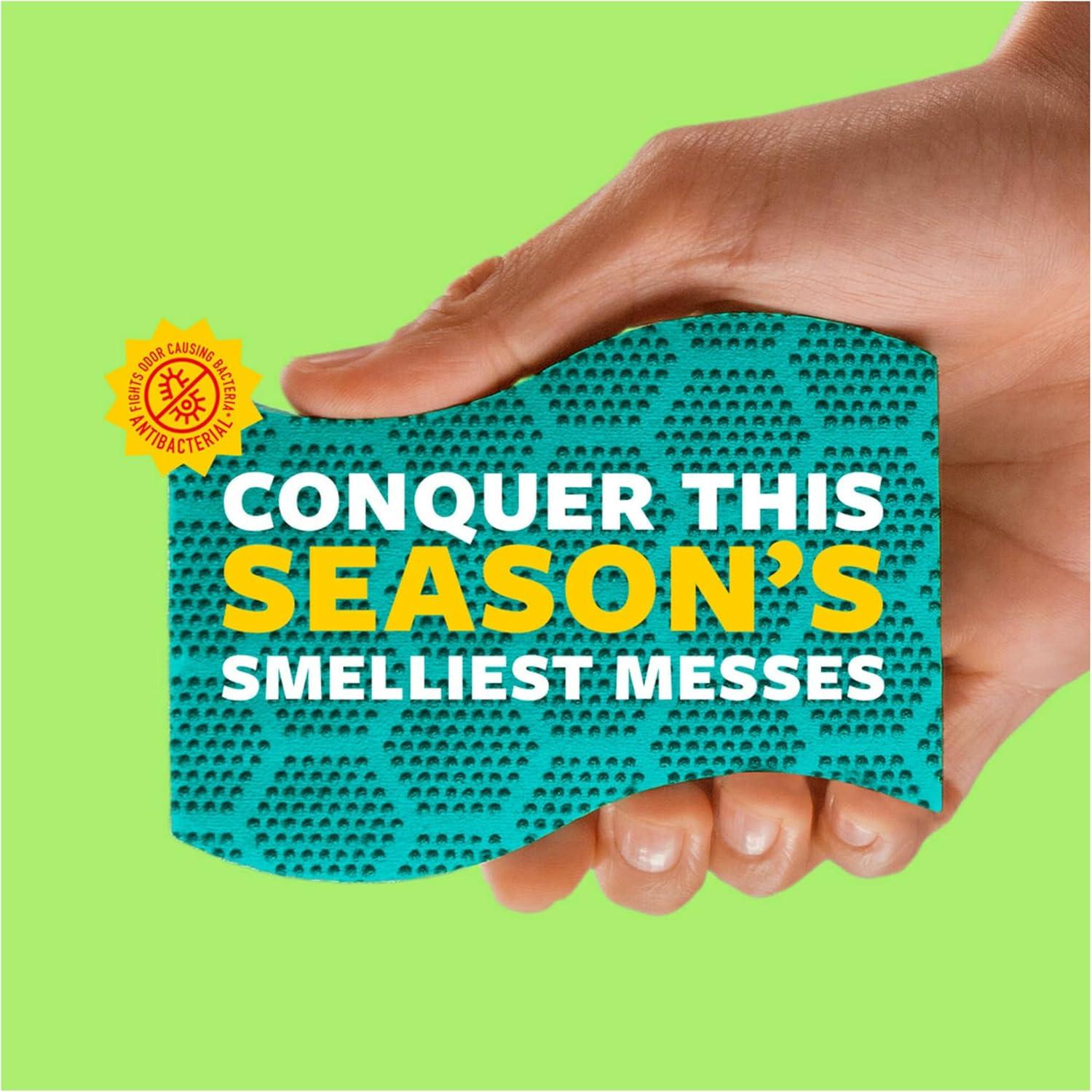 image:imageScotchBrite Scrub Dots Heavy Duty Sponge Powerful Scrubbing Rinses Clean for Washing Dishes and Cleaning Kitchen 6 Scrub Sponges Pack of 2