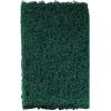 Scotch-Brite Heavy Duty Scour Pads, Great for The Kitchen, Garage and Outdoors, 8 Pads (Pack of 2)(8 Pads (Pack of 2))