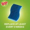 Scotch-Brite Non-Scratch Scrub Sponges, 6 Pack and Stainless Steel Scrubbers, 3 Pack