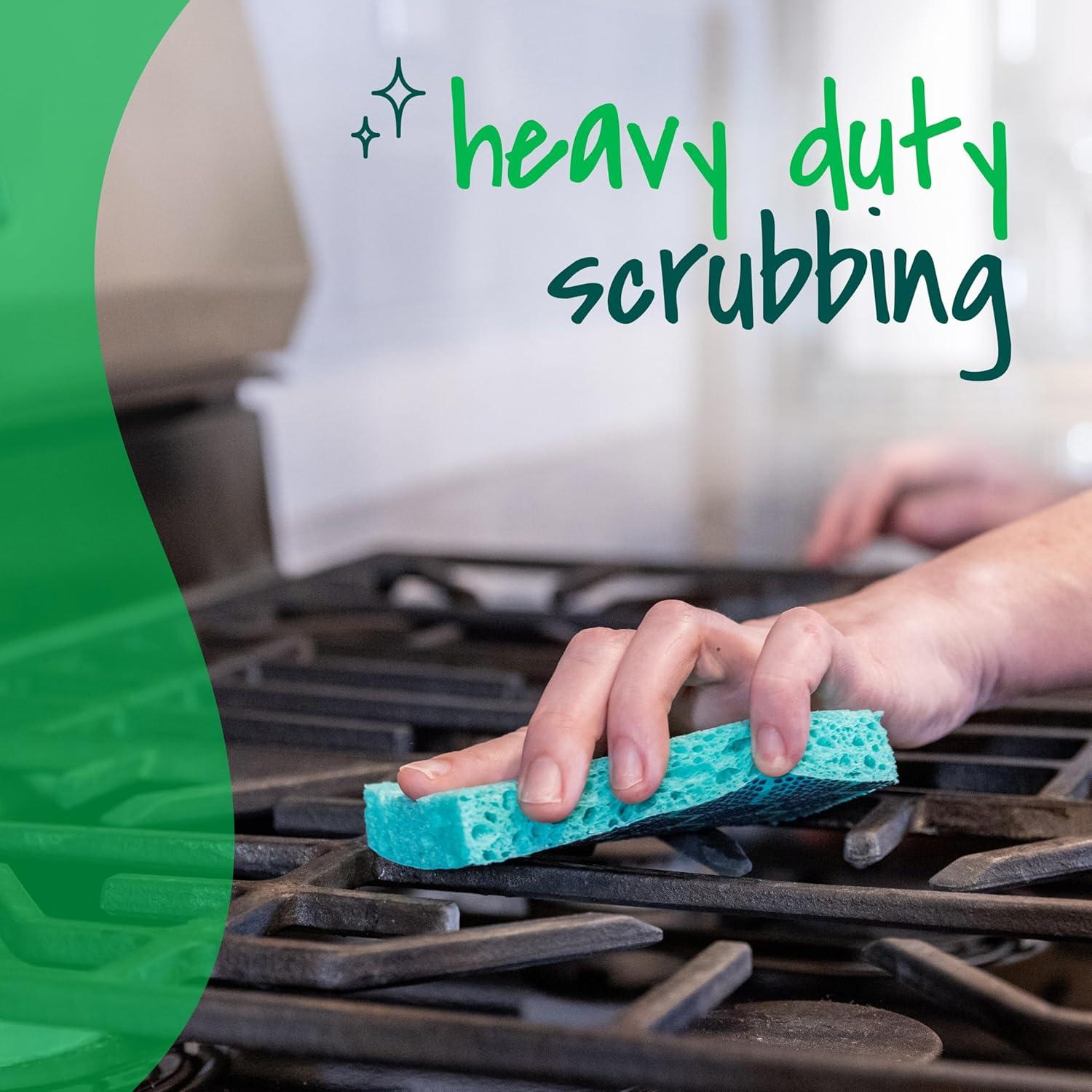 image:imageScotchBrite Odor Resist Heavy Duty Scrub Sponge DishwasherSafe Kitchen sponges for Serious Scrubbing Multipurpose Dish Sponge for StuckOn Messes 6 Scrubbing Sponges6 Scrub Sponges