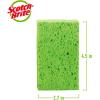 Scotch-Brite Multi-Purpose Sponges, Highly Absorbent Dish Sponge for Cleaning of Non-Stick Cookware, Showers, and Coolers, 40 Kitchen Sponges(4 Sponges)