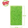 Scotch-Brite Multi-Purpose Sponges, Highly Absorbent Dish Sponge for Cleaning of Non-Stick Cookware, Showers, and Coolers, 40 Kitchen Sponges(40 Sponges)