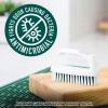 Scotch-Brite Small Utility Brush, Long Lasting Dish Brush with Handle for Scrubbing Cookware, Hands, Tile, Grout, Cutting Boards, and Utensils without Scratching, Antimicrobial, and Rinses Clean(Hand & Nail Brush)