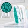 Scotch-Brite All Purpose Brush, For Tile Floors and Walls, Shower Doors, Tubs, Bathroom Fixtures, and More, 6 Count(1-Pack)