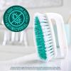 Scotch-Brite All Purpose Brush, For Tile Floors and Walls, Shower Doors, Tubs, Bathroom Fixtures, and More, 6 Count(6-Pack)