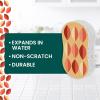 Scotch-Brite Harvest Pop Up Kitchen Sponges, Unique Compressed Kitchen Sponge for Cleaning Gently, Autumn Pattern Dish Sponge That Expands in Water, 3 Scrubbing Sponges