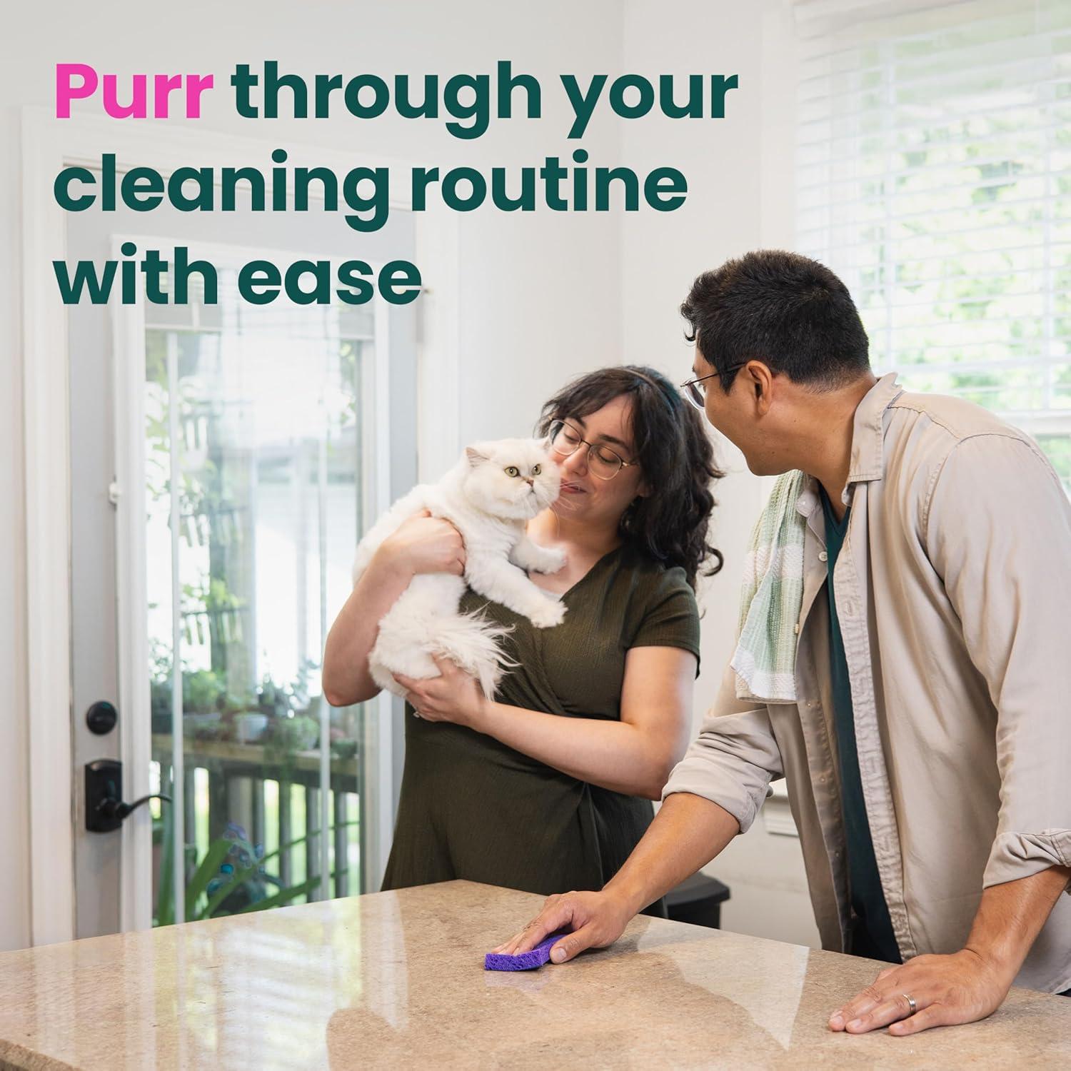 image:imageScotchBrite Odor Resist NonScratch Scrub Sponge DishwasherSafe Kitchen Sponges That Resist Bacterial Odors Multipurpose Dish Sponges for Gentle Cleaning and Pet Messes 2 Dish Sponges