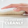Scotch-Brite® Greener Clean™ Dual Action Scrub & Wipe , 2 each/pack, 6 packs/case(4.7 in. x 2.8 in. x 0.7 in. / 2-pack)