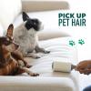 Scotch-Brite Pet Hair Pickup Lint Roller, Designed for Removing Fur + Fluff on Couches, Clothes, Dog and Cat Beds, & More, 1 Pack, 30 Easy-Tear Adhesive Sheets Total