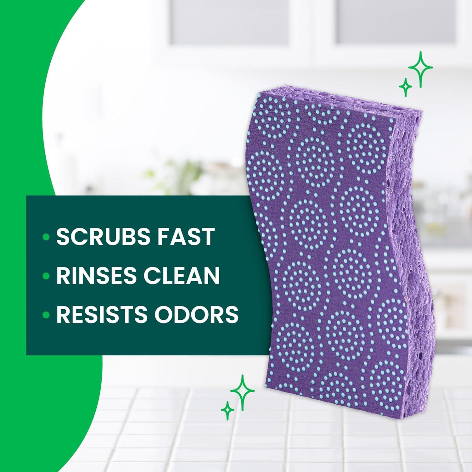 image:imageScotchBrite Scrub Dots NonScratch Scrub Sponge Rinses Clean for Washing Dishes and Cleaning Kitchen 3 Scrub Sponges Pack of 23 Sponges