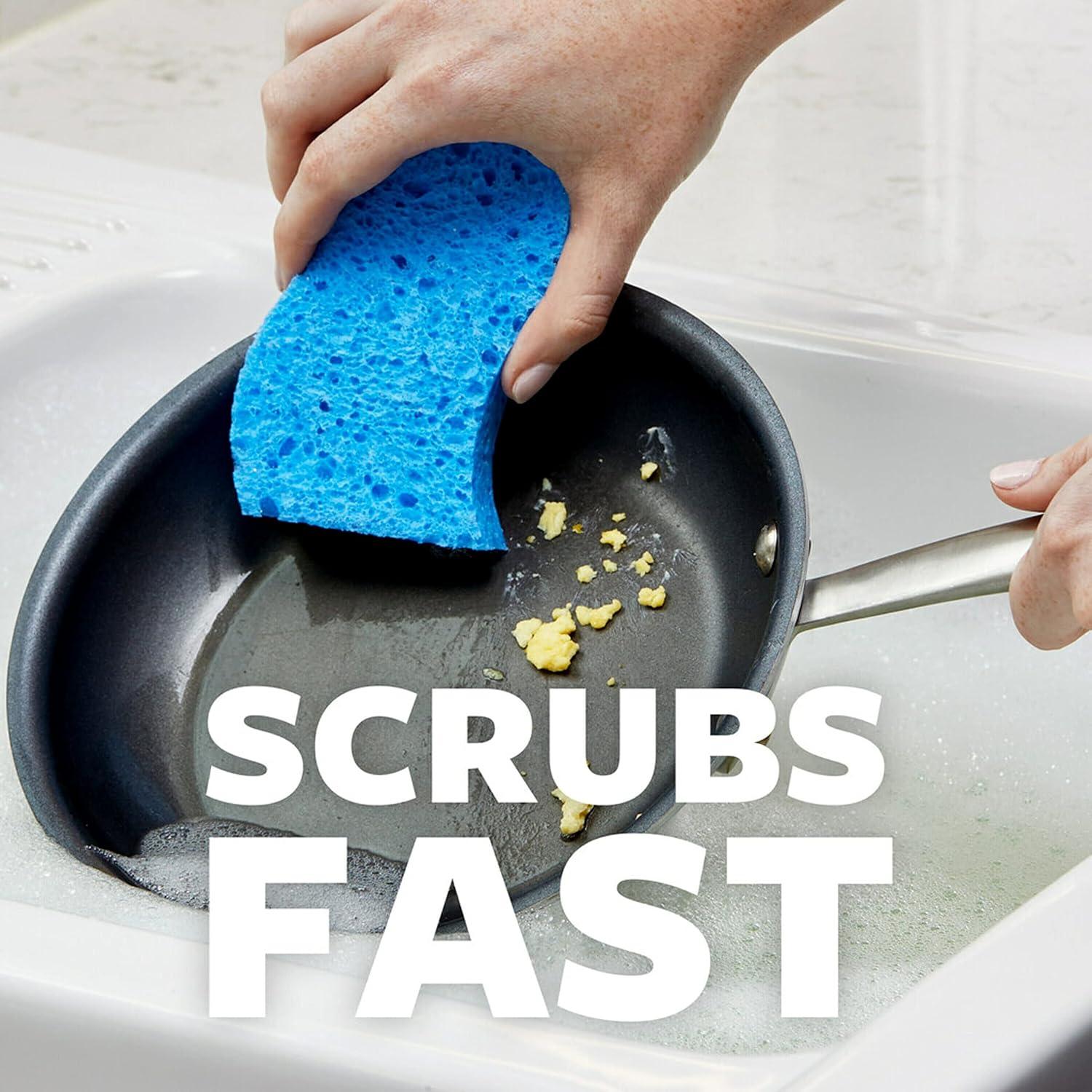 image:imageScotchBrite Scrub Dots NonScratch Scrub Sponge Rinses Clean for Washing Dishes and Cleaning Kitchen 3 Scrub Sponges Pack of 23 Sponges Pack of 2