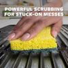 Scotch-Brite Heavy Duty Sponge & Command Storage Bundle