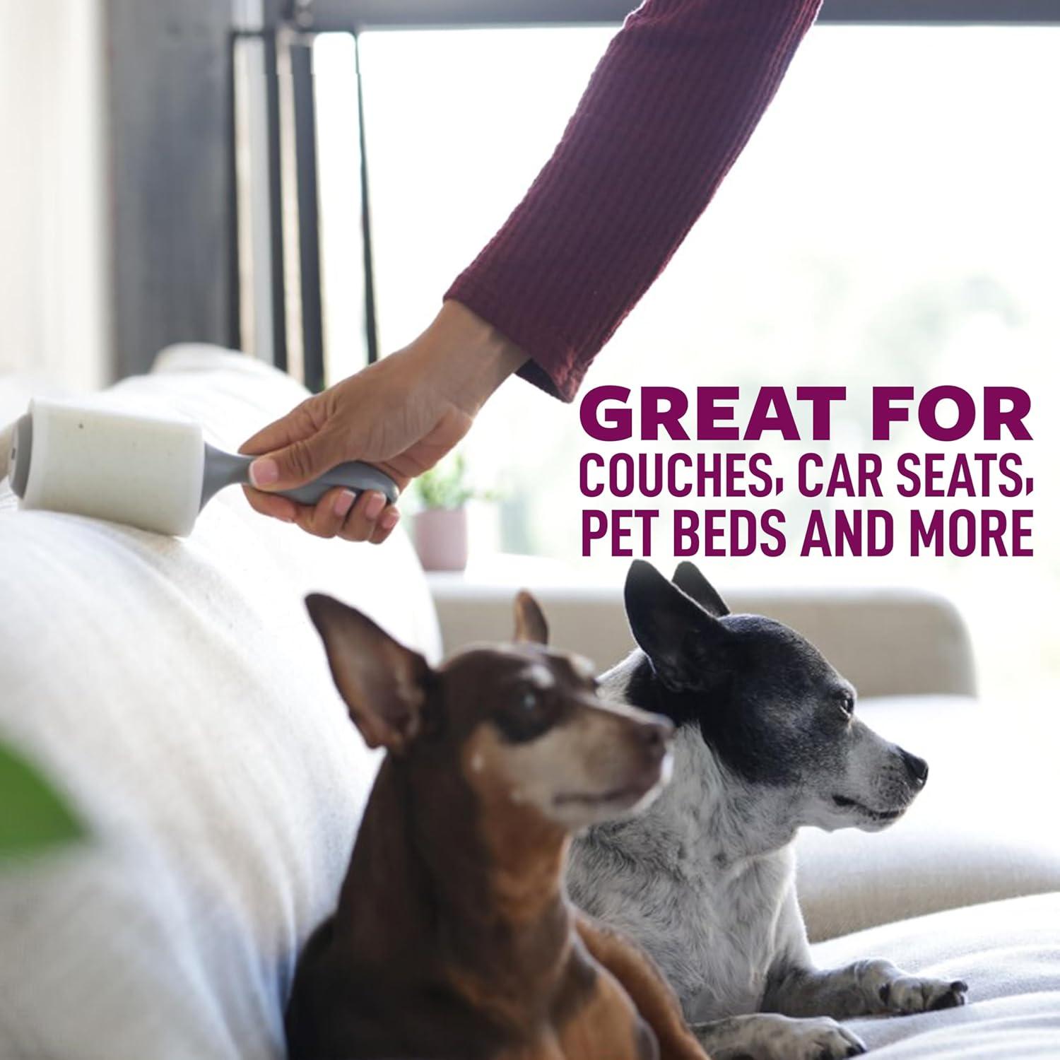 image:imageScotchBrite Pet Hair Pickup Extra Sticky Lint Roller Designed for Removing Fur Fluff on Couches Clothes Dog and Cat Beds amp More 1 Pack 70 EasyTear Adhesive Sheets Total1 Roller 70 Sheets